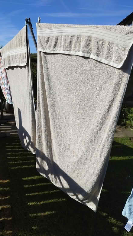 Photo of free Bath sheets (BD13) #1