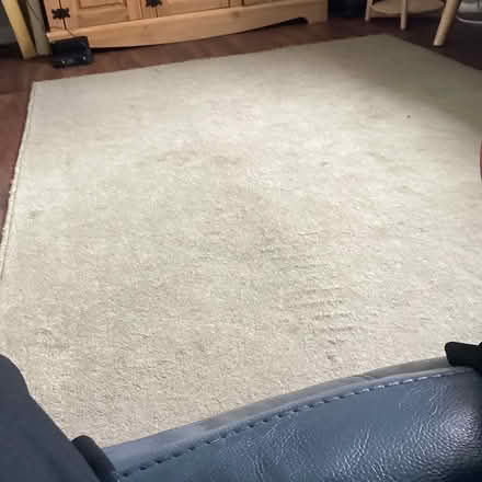 Photo of free Large rug green (Nottingham NG8) #1