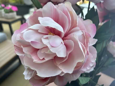 Photo of free Pink Faux Peonies (New Haw, KT15) #3