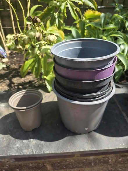 Photo of free Plastic Plant Pots (Bovingdon) #3
