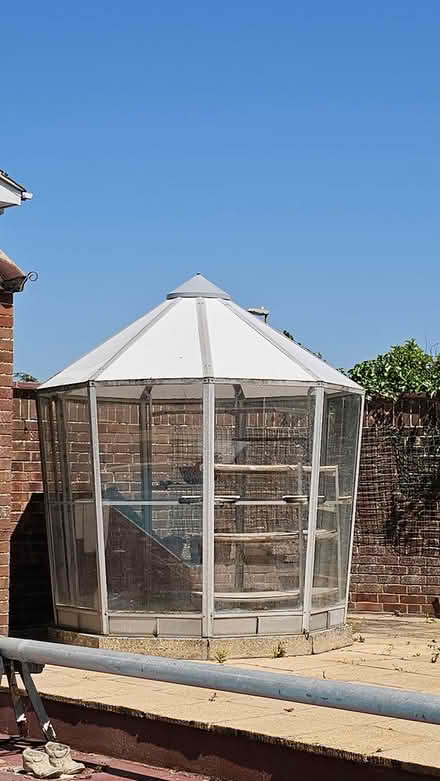 Photo of free Green house (unusual lantern style) (Fareham PO14) #3