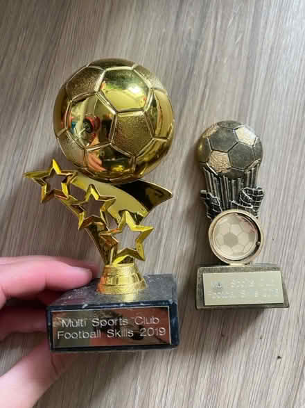 Photo of free 2 football trophies (Badger Farm) #1