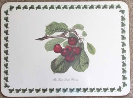 Photo of free Table mats (Blairgowrie PH10) #4