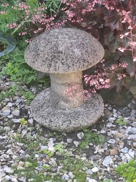 Photo of free Concrete mushroom (Dursley GL11) #1