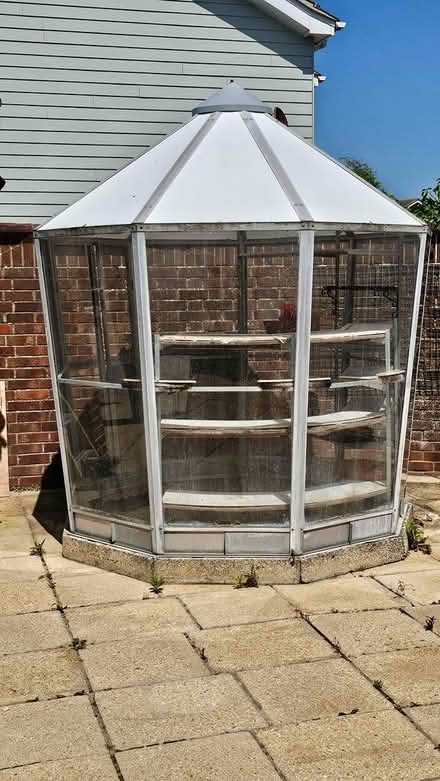 Photo of free Green house (unusual lantern style) (Fareham PO14) #1