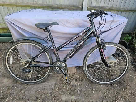 Photo of free Bike (Kempshott RG22) #1