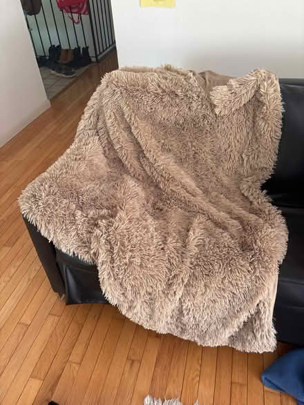 Photo of free Fluffy throw blanket (Ithaca) #2