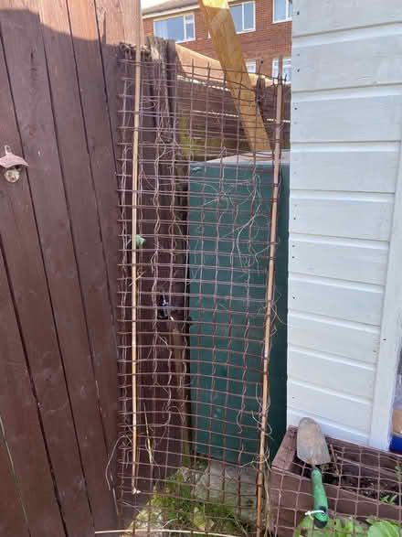 Photo of free Trellis stand (Havant PO9) #1