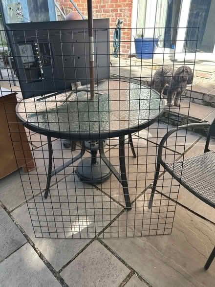 Photo of free Metal trellis (Low Fell) #1