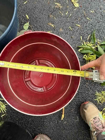 Photo of free Large planters - 4 (Chadds Ford) #3
