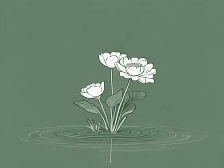 Photo of free Pond plant - Marsh Marigold (Kendal LA9) #1