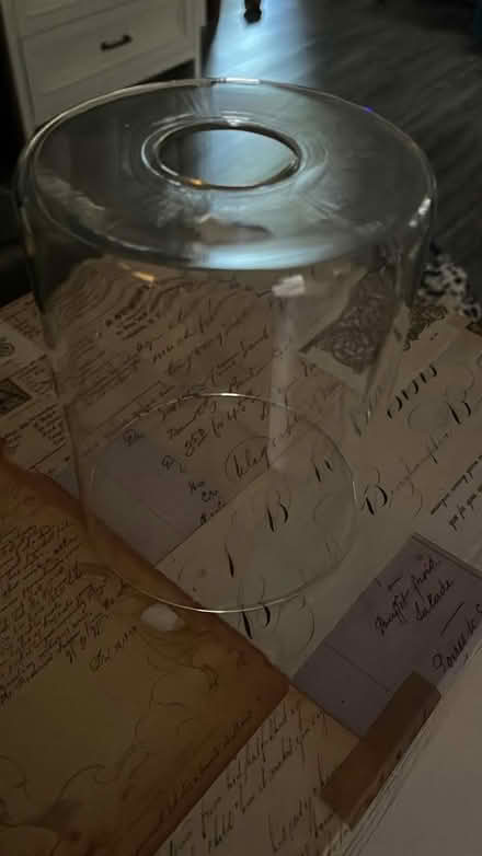 Photo of free Glass light shades (Euless, TX) #1