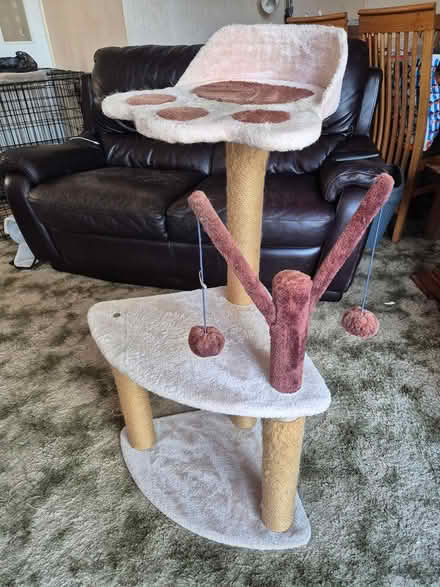 Photo of free Cat tree (Ribbleton PR2 6) #1
