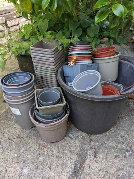 Photo of free Plant pots (Lewes) #1