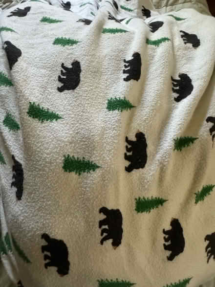 Photo of free Flannel sheet sets (Near Bada Bean) #1