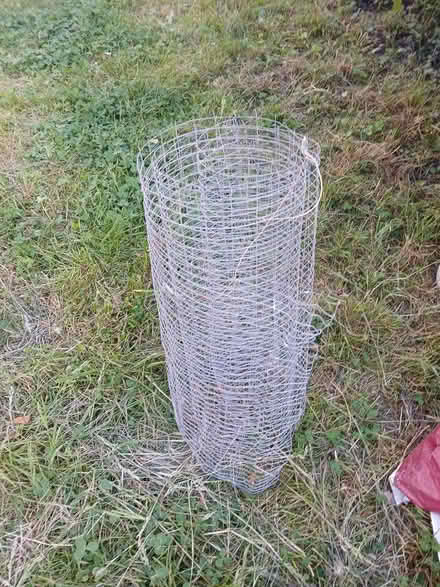 Photo of free Garden mesh wire (BS16) #1