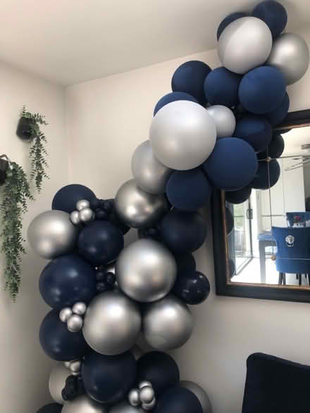 Photo of free Balloon arch (Whitehill SG4) #1