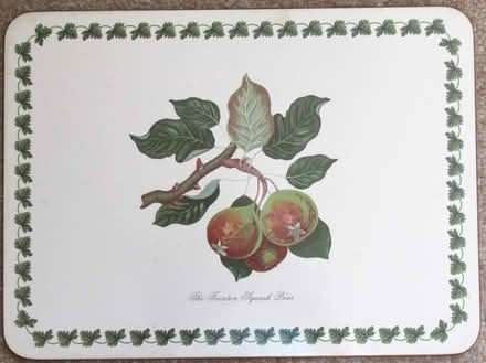 Photo of free Table mats (Blairgowrie PH10) #3