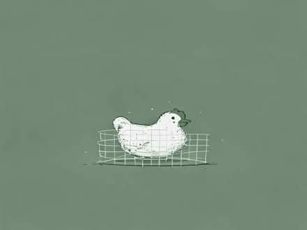 Photo of Small piece of chicken wire (Penrith CA11) #1