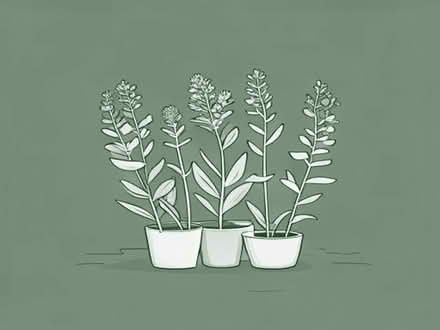 Photo of free Perennial plants (Cambuskenneth FK9) #1