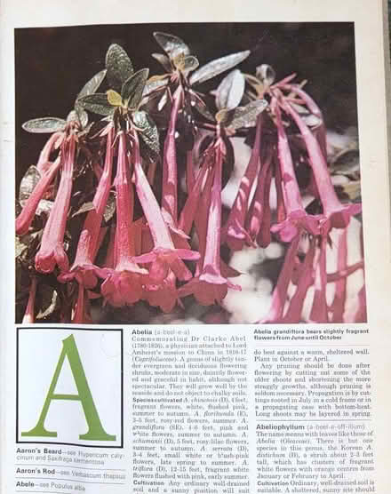Photo of free Encyclopedia of Gardening in 9 volumes (Heaton Norris SK4) #3