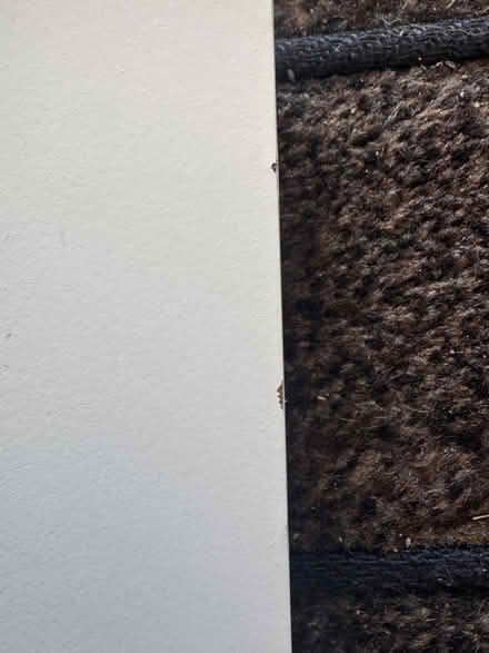 Photo of free Storage box (Westcliff SS0) #3
