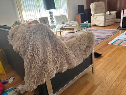 Photo of free Fluffy throw blanket (Ithaca) #1