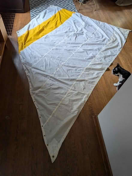 Photo of free Unique sailboat sail (Greenlake) #1