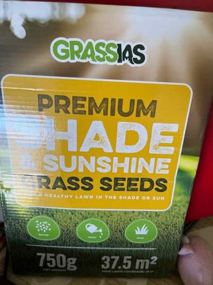 Photo of free Grass seed (Kennington SW8) #1
