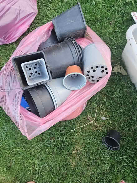 Photo of free Mixed plant pots (Eastwood, Leigh on Sea,) #1