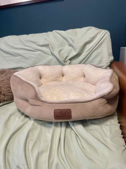 Photo of free Small pet beds — cat or small dog (Malden) #1