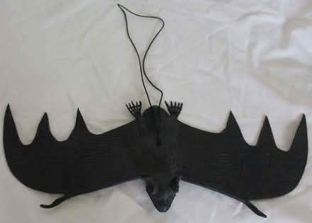 Photo of free Rubber bat (flying variety) (Loudwater HP13) #1
