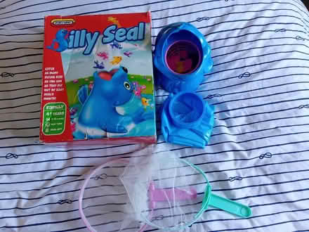 Photo of free Silly seal game (Chelmsford CM2) #1
