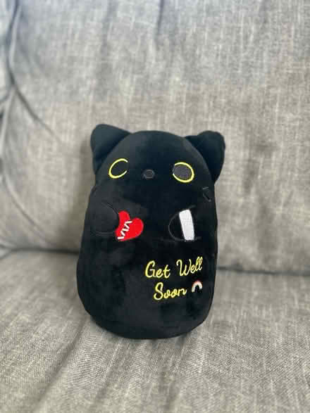 Photo of free get well soon kitty plushie (Malden) #1