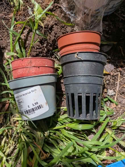 Photo of free Tiny pots (Cromford DE4) #1