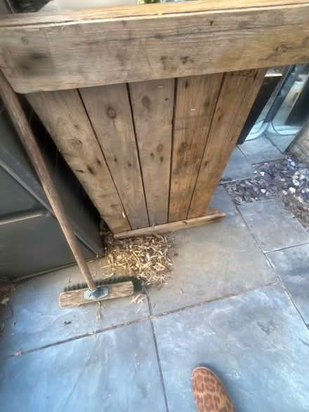 Photo of free Large planter (Wimbledon SW19) #2