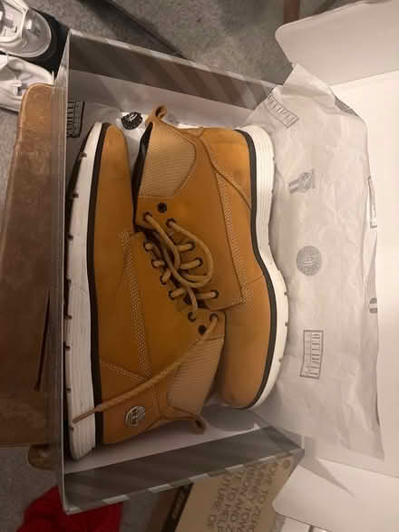Photo of free Men’s Timberlands (BR6) #1