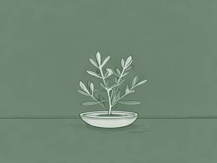 Photo of free Golden Oregano (Woodley RG5) #1