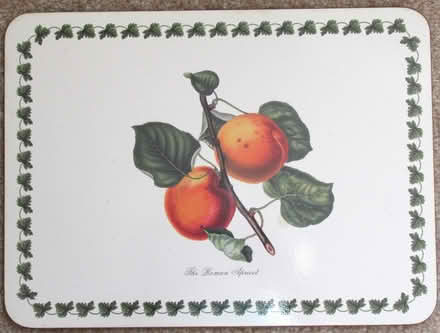Photo of free Table mats (Blairgowrie PH10) #2