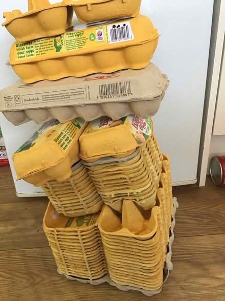 Photo of free Many egg boxes (Redhill RH1) #1