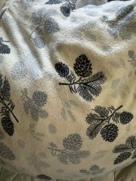 Photo of free Flannel sheet sets (Near Bada Bean) #2