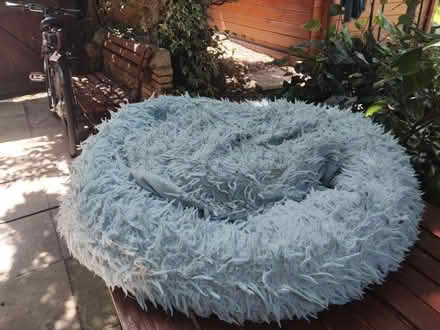 Photo of free Large fluffy dog bed 80cm x 80cm (Lakenham NR1) #1