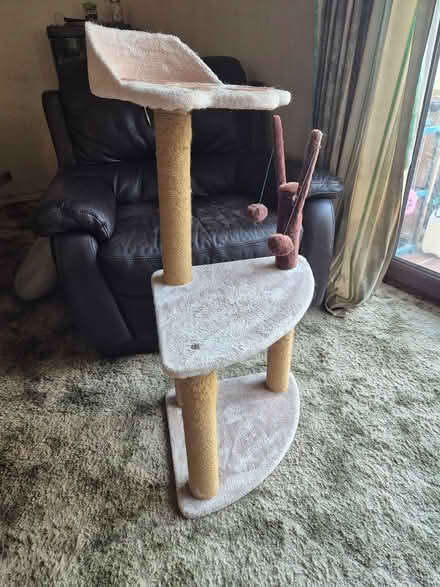Photo of free Cat tree (Ribbleton PR2 6) #2