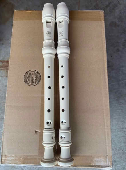 Photo of free Recorder/flute (Milton - Thompson/Main) #1