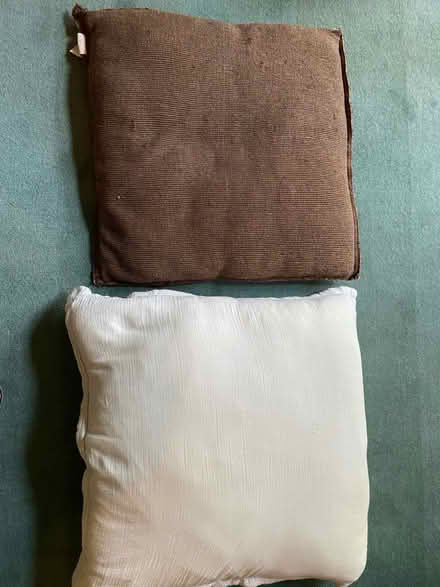 Photo of free Large cushions. Approximately 60 cm square (University Area RG1) #1