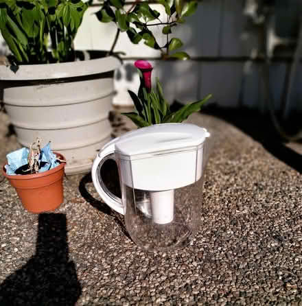 Photo of free Miscellaneous items (Near West Gate Mall) #1
