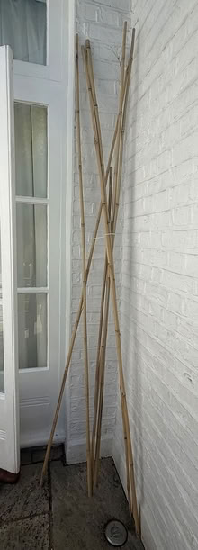 Photo of free Bamboo gardening poles (Wimbledon Park SW19) #1