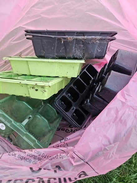 Photo of free Seed trays (Eastwood, Leigh on Sea,) #1