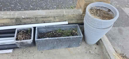 Photo of free Vases (N181LF) #1