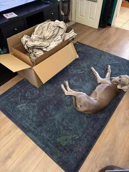 Photo of free Large cardboard boxes (Coxford SO16) #1
